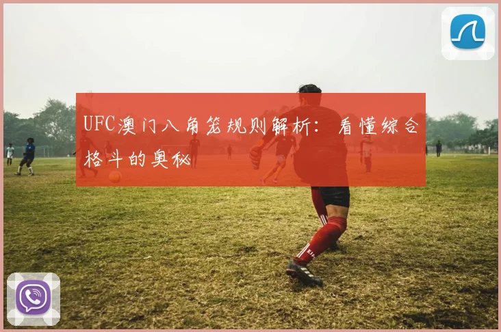 UFC澳门八角笼规则解析：看懂综合格斗的奥秘