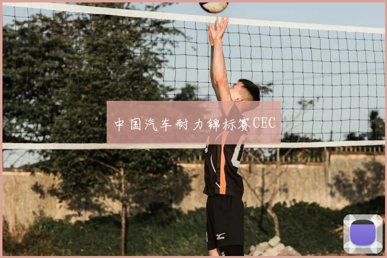 中国汽车耐力锦标赛CEC