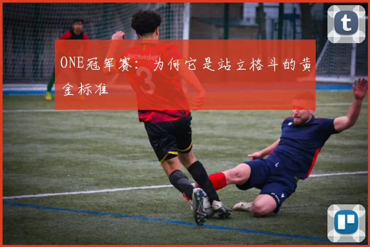 ONE冠军赛：为何它是站立格斗的黄金标准