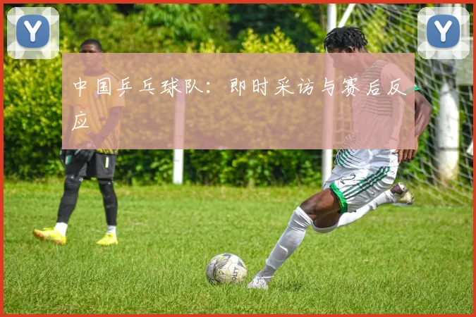 中国乒乓球队:即时采访与赛后反应