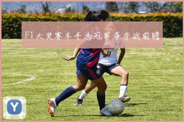 F1大奖赛车手总冠军争夺战前瞻