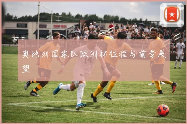 奥地利国家队欧洲杯征程与前景展望