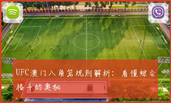 UFC澳门八角笼规则解析:看懂综合格斗的奥秘