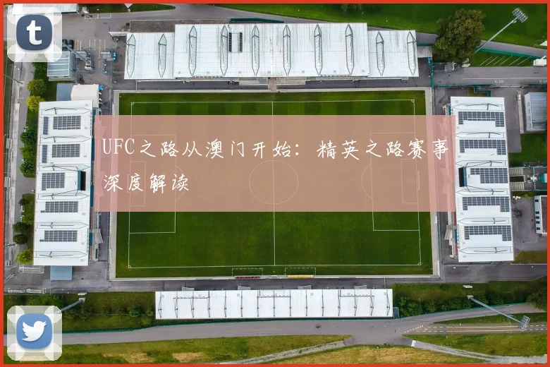 UFC之路从澳门开始:精英之路赛事深度解读