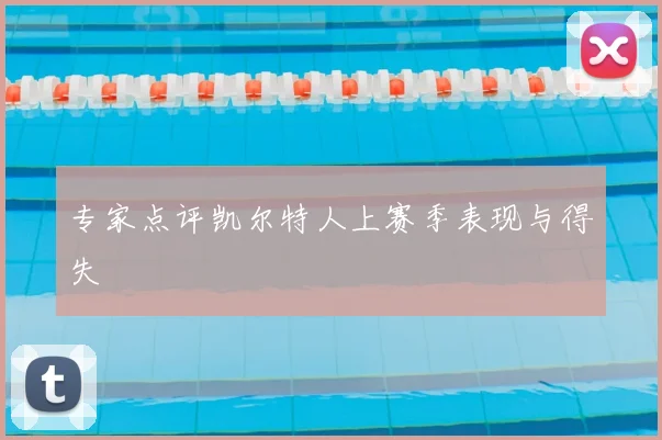专家点评凯尔特人上赛季表现与得失