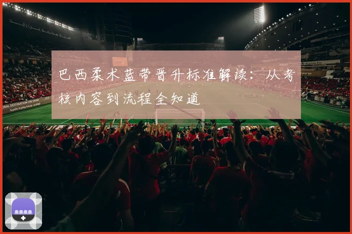 巴西柔术蓝带晋升标准解读：从考核内容到流程全知道