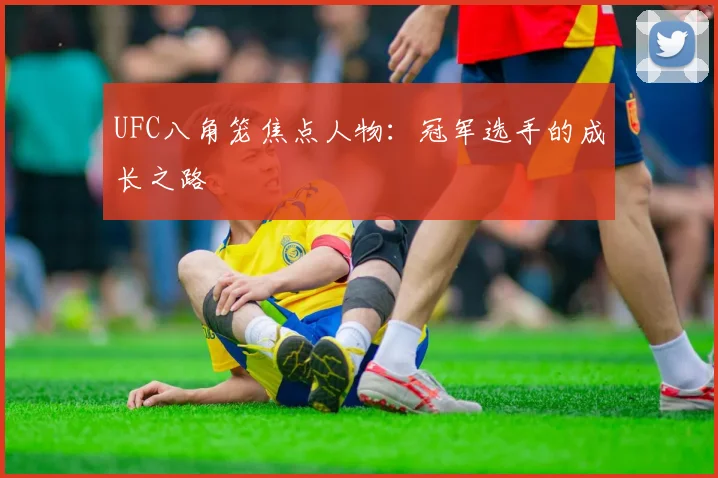 UFC八角笼焦点人物:冠军选手的成长之路