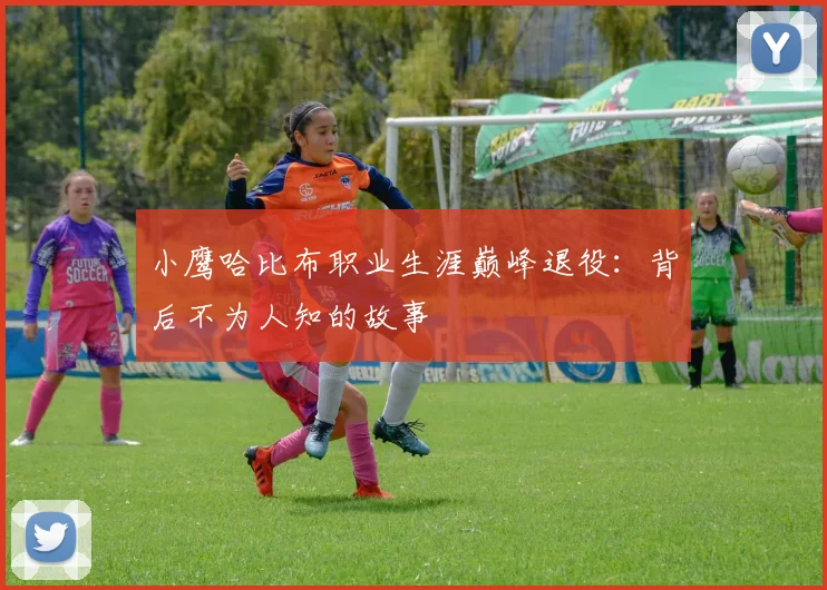小鹰哈比布职业生涯巅峰退役:背后不为人知的故事